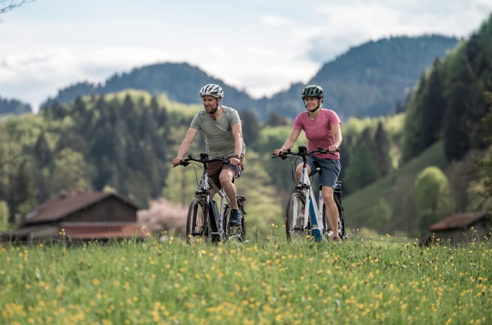 eBike - Electric Bikes for Sale - ebikes Superstore